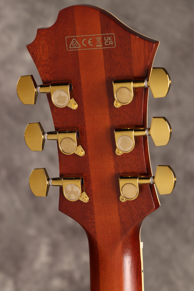 [SN PW25030398] Ibanez / Pat Metheny New Signature Model PM3C-NAL (Natural Amber Low Gloss)Pat Metheny [S/N PW25030398]. [80]