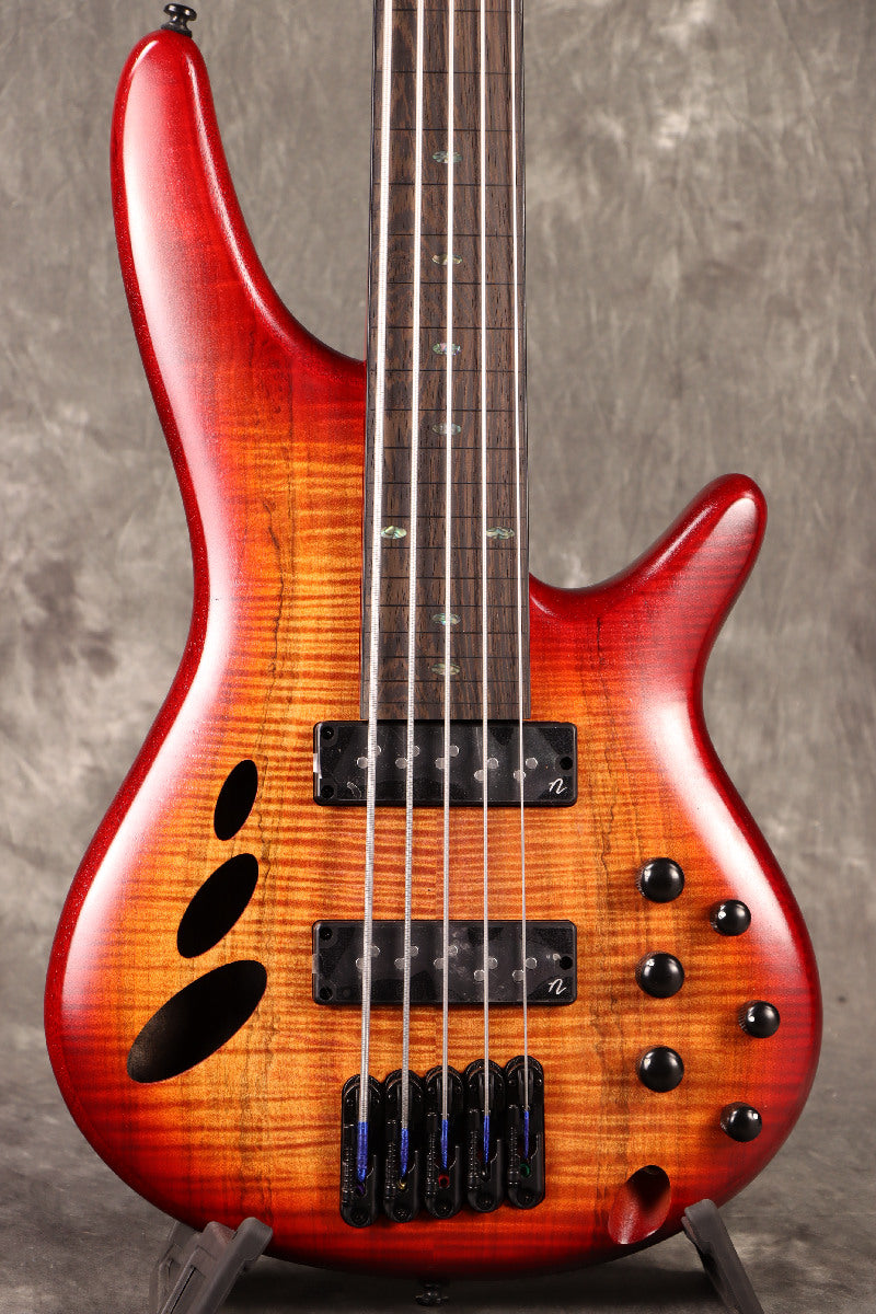 [SN I241105153] Ibanez / SRD905F-BTL(Brown Topaz Burst Low Gloss)5-String Fretless Bass [S/N I241105153]. [80]