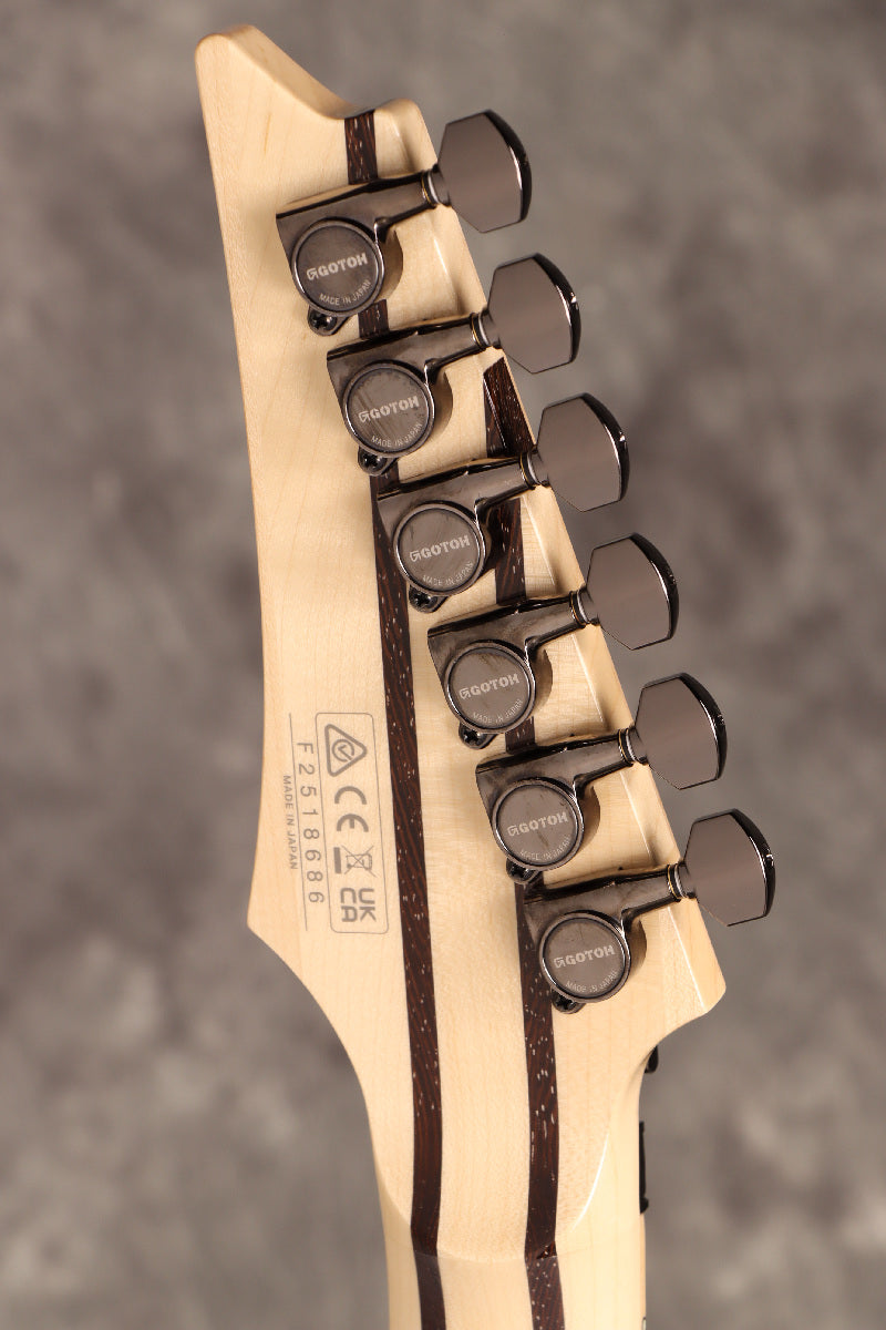 [SN F2518686] Ibanez / j.custom RG8570-RBS (Royal Blue Sapphire) Ibanez [S/N F2518686]. [80]