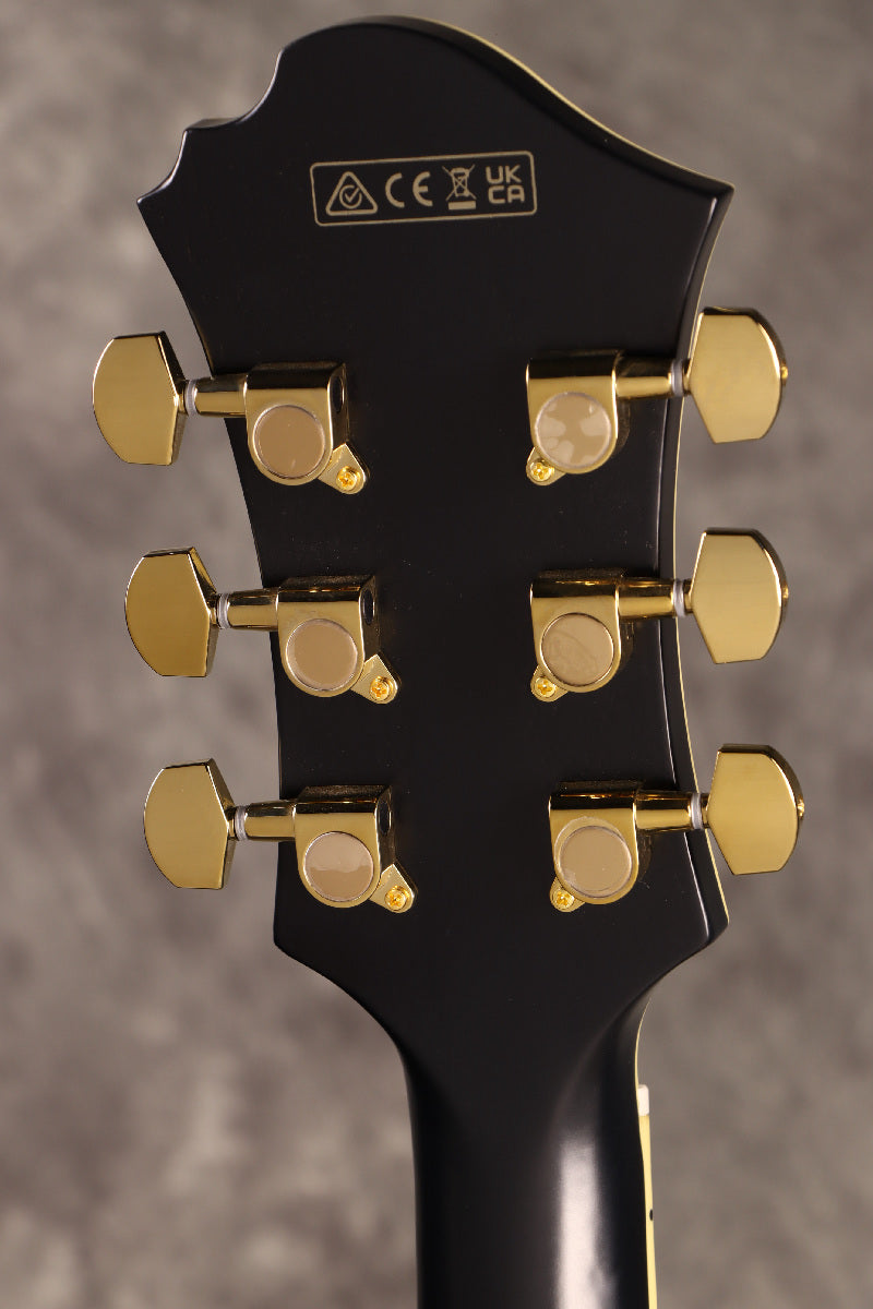 [SN PW24110807] Ibanez / Pat Metheny PM3C-BKL (Black Low Gloss) [S/N PW24110807] Ibanez [80]