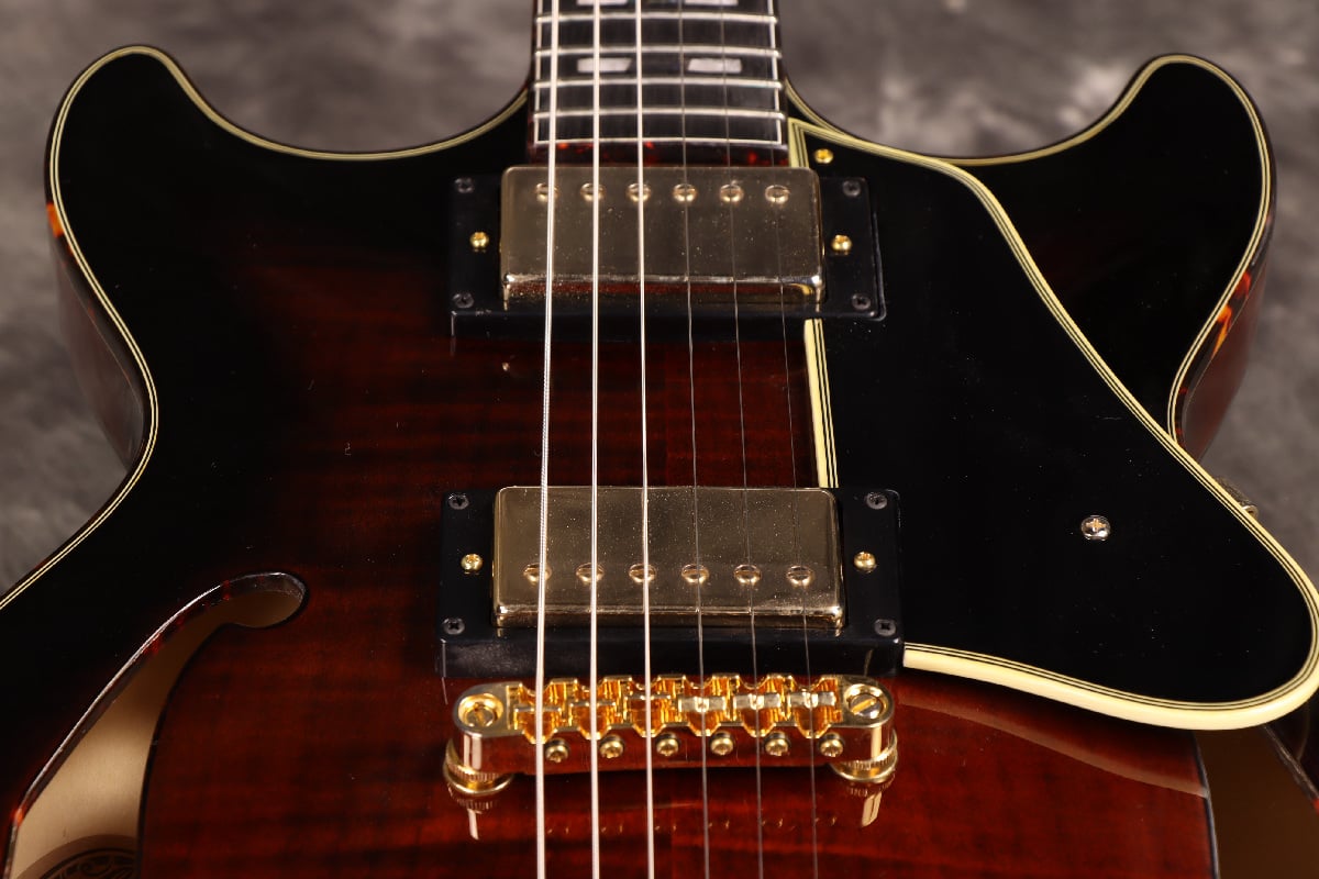 Ibanez　AMH100FM DVS AMH100FM | AM | HOLLOW BODIES | PRODUCTS | Ibanez guitars