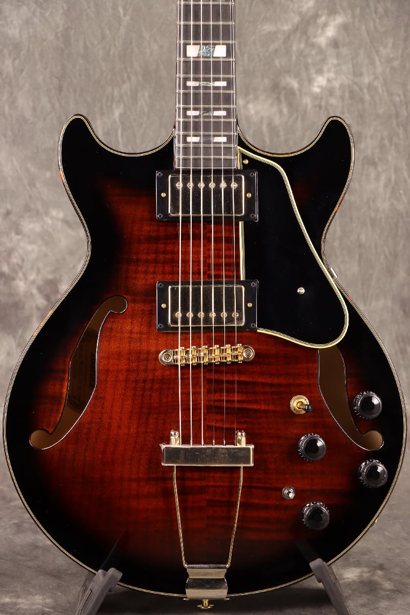 Ibanez　AMH100FM DVS AMH100FM | AM | HOLLOW BODIES | PRODUCTS | Ibanez guitars