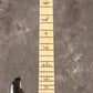 [SN CTIG107552] USED Paul Reed Smith / 2024 SE Swamp Ash Special Charcoal(CH) w/5-way Blade Switch [S/N CTIG107552]. [80]