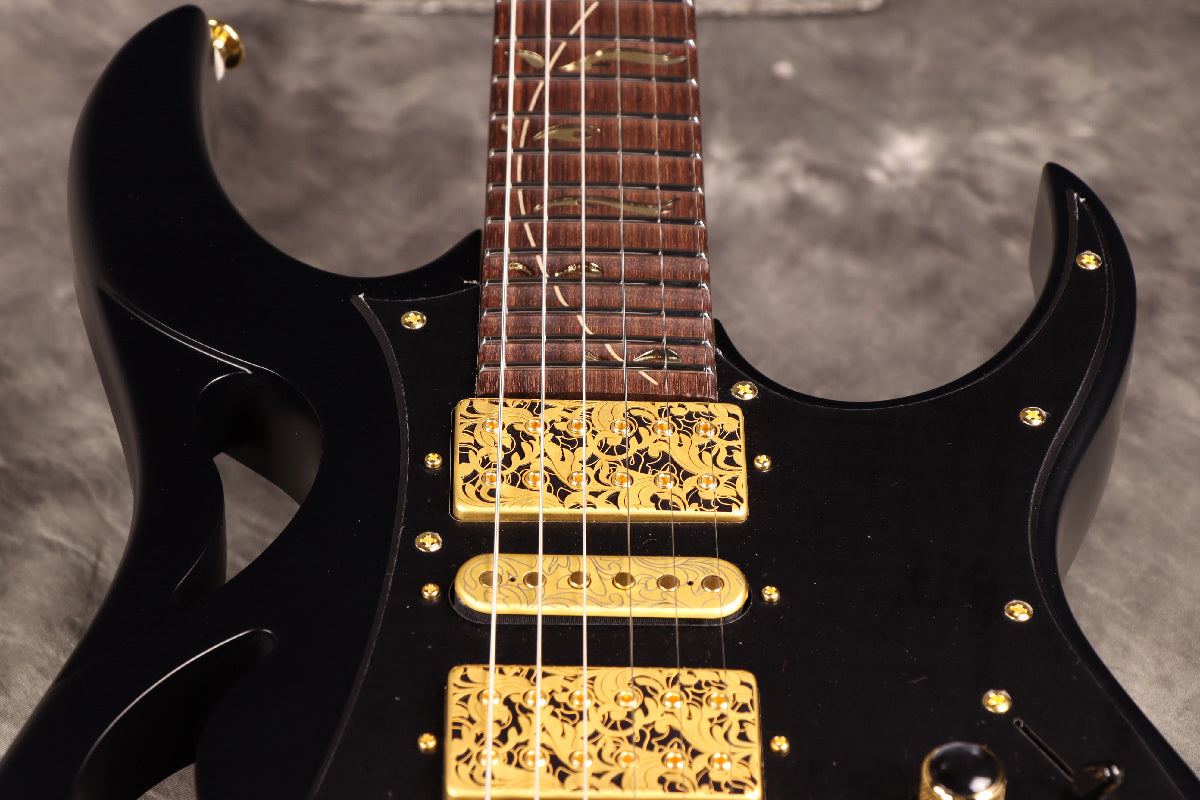 [SN F2519846] Ibanez / "Paradise in Art" Steve Vai signature PIA3761 Onyx Black Ibanez [S/N F2519846]. [80]