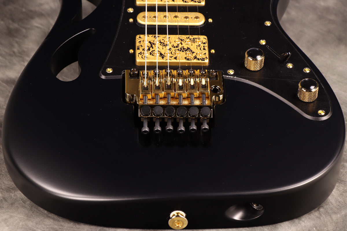 [SN F2519846] Ibanez / "Paradise in Art" Steve Vai signature PIA3761 Onyx Black Ibanez [S/N F2519846]. [80]
