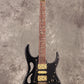 [SN F2519846] Ibanez / "Paradise in Art" Steve Vai signature PIA3761 Onyx Black Ibanez [S/N F2519846]. [80]