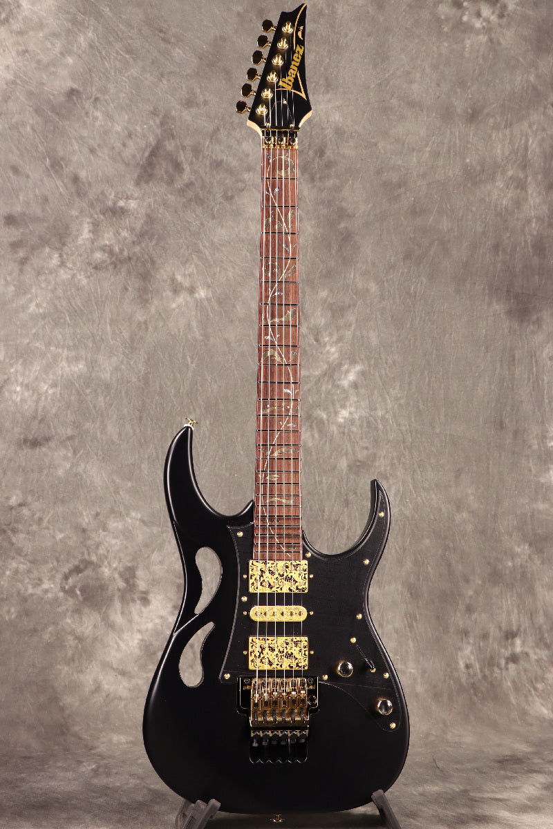 [SN F2519846] Ibanez / "Paradise in Art" Steve Vai signature PIA3761 Onyx Black Ibanez [S/N F2519846]. [80]