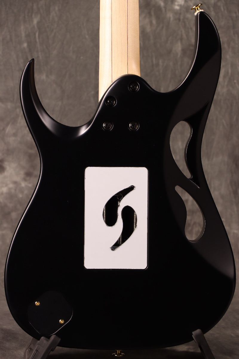 [SN F2519846] Ibanez / "Paradise in Art" Steve Vai signature PIA3761 Onyx Black Ibanez [S/N F2519846]. [80]