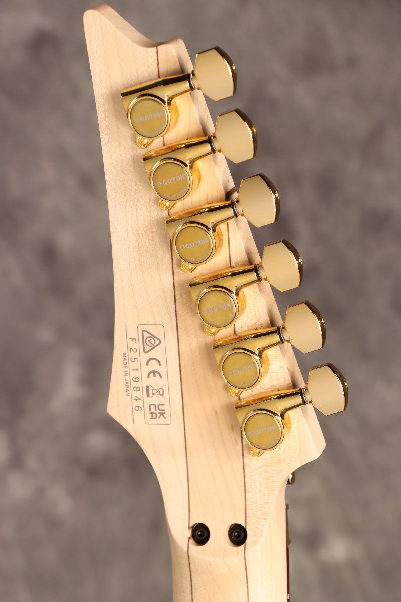 [SN F2519846] Ibanez / "Paradise in Art" Steve Vai signature PIA3761 Onyx Black Ibanez [S/N F2519846]. [80]
