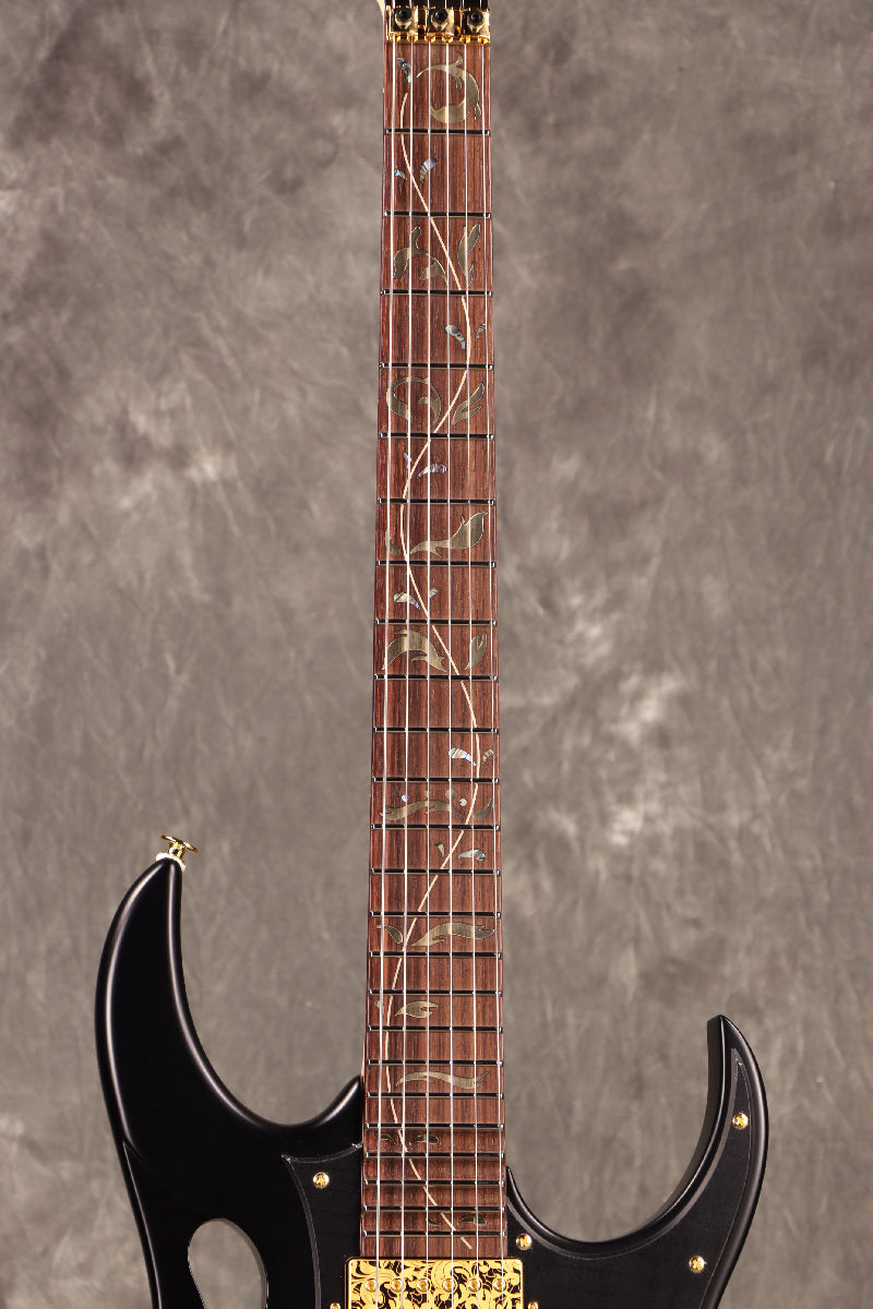 [SN F2519846] Ibanez / "Paradise in Art" Steve Vai signature PIA3761 Onyx Black Ibanez [S/N F2519846]. [80]