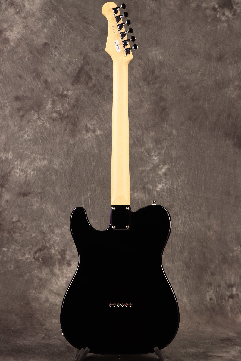 Fujigen(FGN) / BCTE100RBD BK [Made in Japan] [Limited Outlet]Fujigen [80]