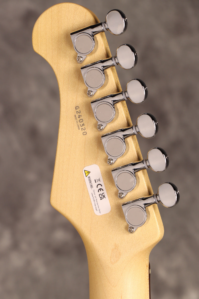 Fujigen(FGN) / BCTE100RBD BK [Made in Japan] [Limited Outlet]Fujigen [80]