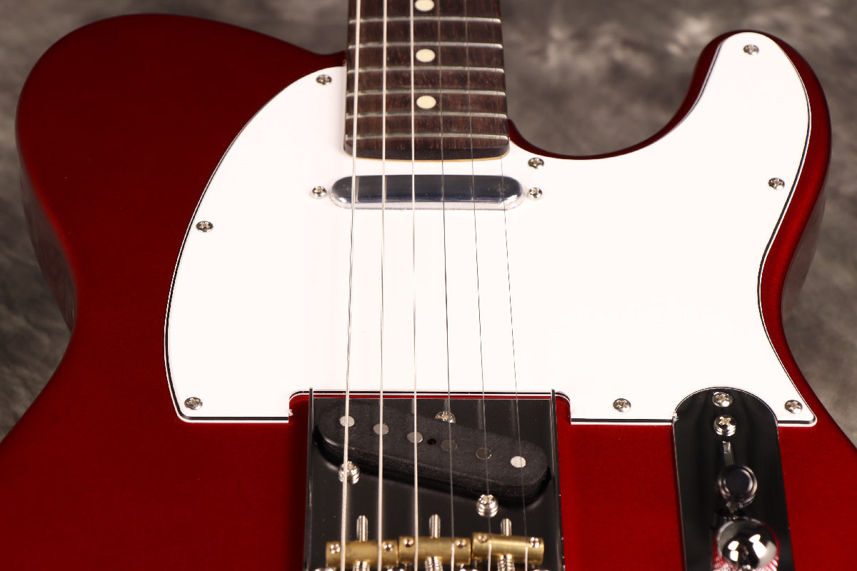 Fujigen(FGN) / BCTE100RBD CAR [Made in Japan] [Limited Outlet]Fujigen [80]