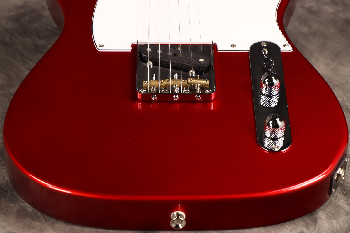 Fujigen(FGN) / BCTE100RBD CAR [Made in Japan] [Limited Outlet]Fujigen [80]