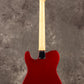 Fujigen(FGN) / BCTE100RBD CAR [Made in Japan] [Limited Outlet]Fujigen [80]