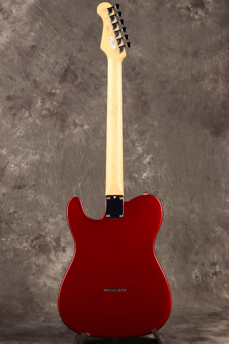 Fujigen(FGN) / BCTE100RBD CAR [Made in Japan] [Limited Outlet]Fujigen [80]