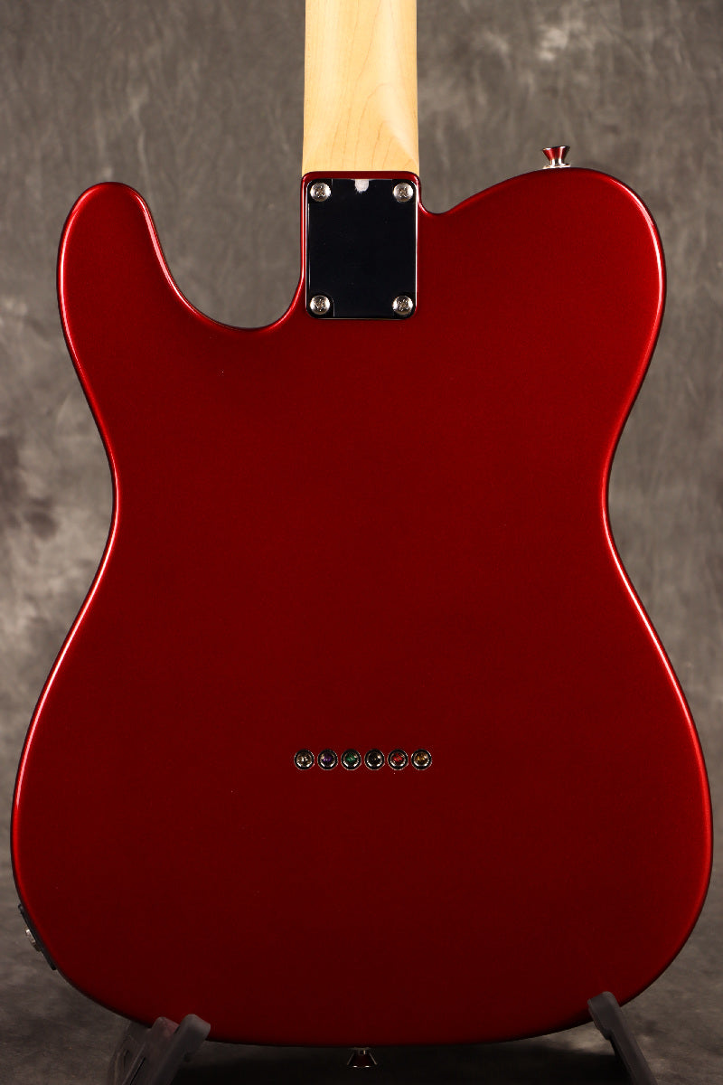 Fujigen(FGN) / BCTE100RBD CAR [Made in Japan] [Limited Outlet]Fujigen [80]