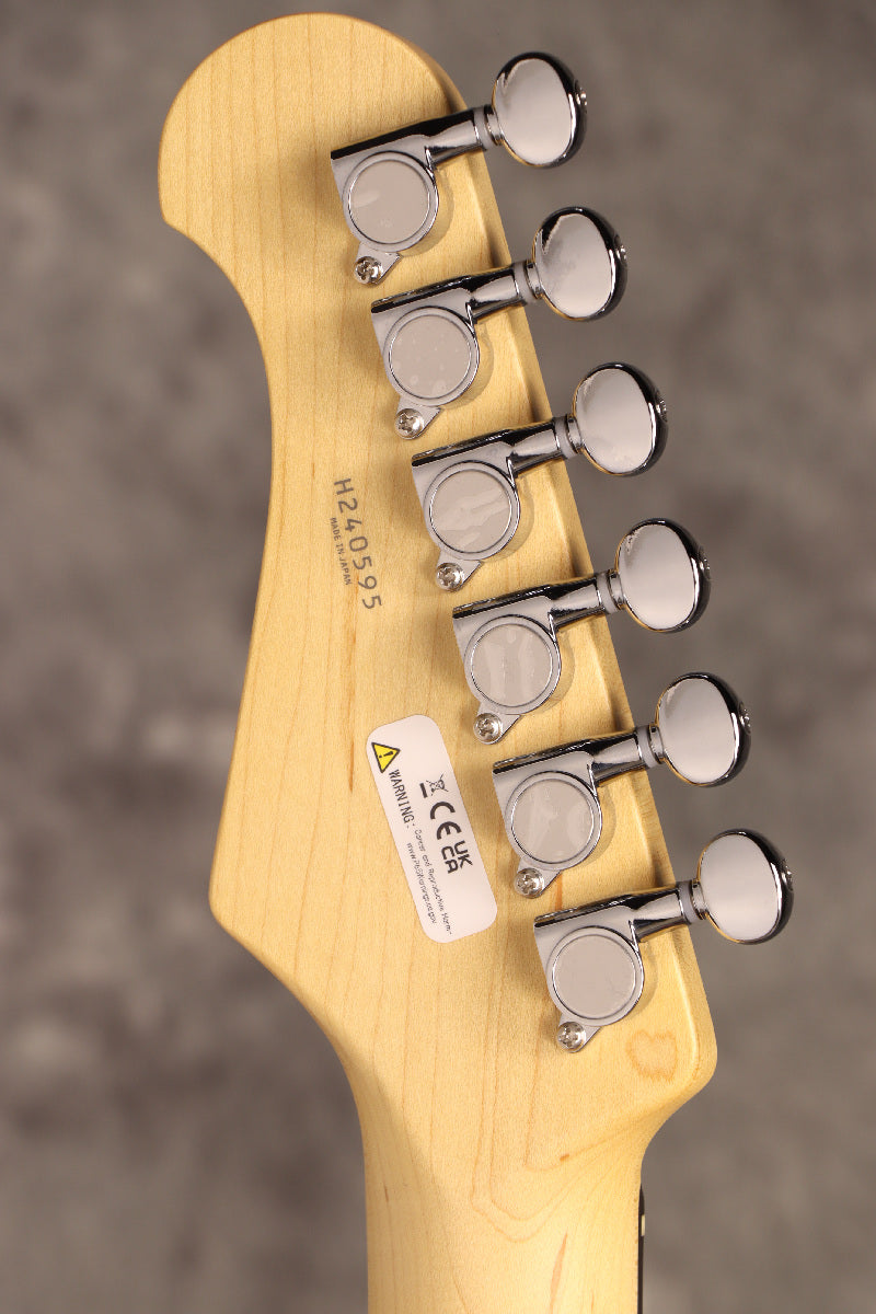 Fujigen(FGN) / BCTE100RBD CAR [Made in Japan] [Limited Outlet]Fujigen [80]