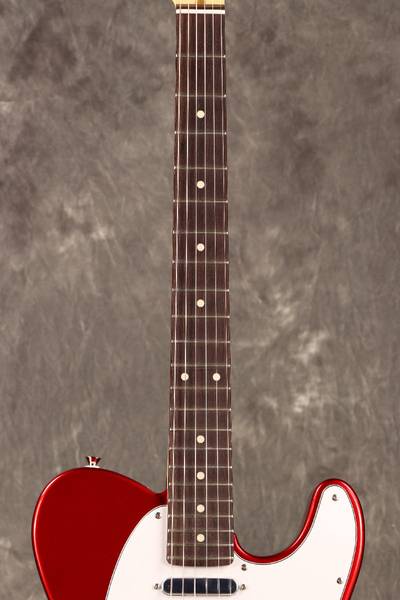 Fujigen(FGN) / BCTE100RBD CAR [Made in Japan] [Limited Outlet]Fujigen [80]