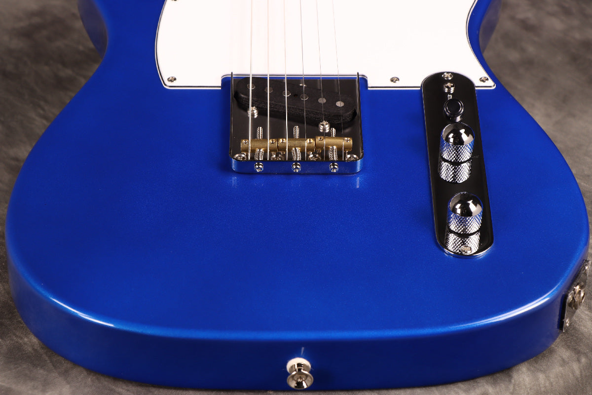 Fujigen(FGN) / BCTE100RBD MBL [Made in Japan] [Limited Outlet]Fujigen [80]