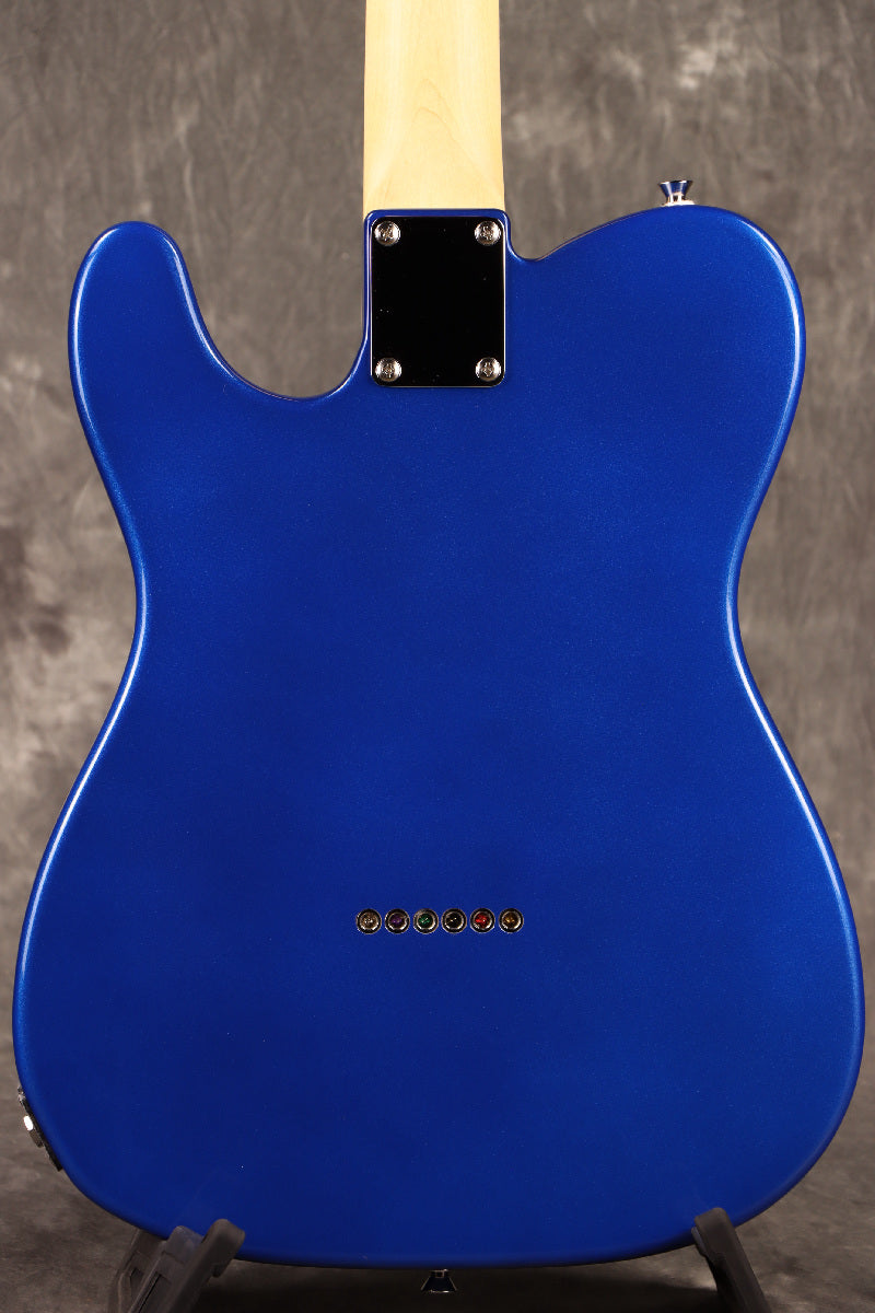 Fujigen(FGN) / BCTE100RBD MBL [Made in Japan] [Limited Outlet]Fujigen [80]