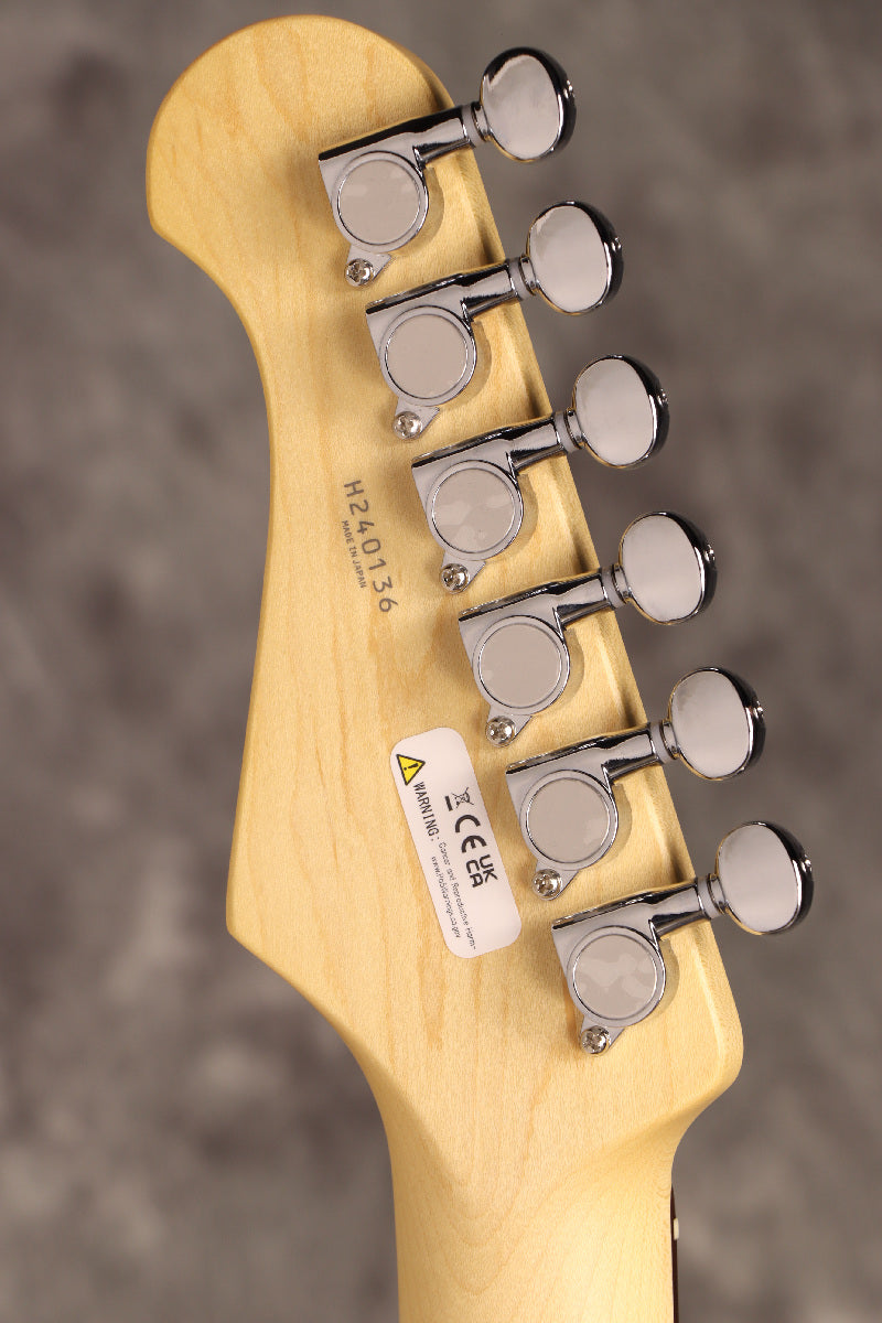 Fujigen(FGN) / BCTE100RBD MBL [Made in Japan] [Limited Outlet]Fujigen [80]