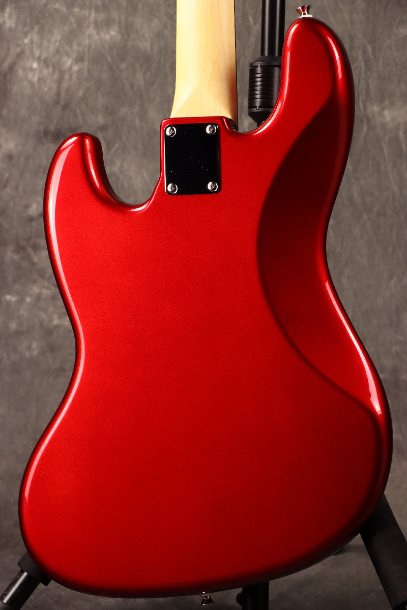 Fujigen(FGN) / BCJB100RBD CAR [Made in Japan] [Limited Outlet]Fujigen [80]