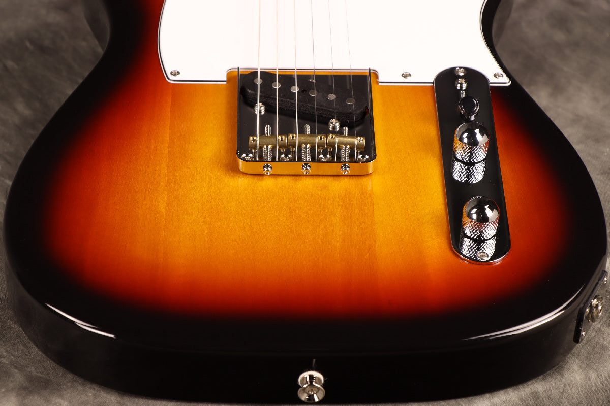 Fujigen(FGN) / BCTE100RBD 3TS [Made in Japan] [Limited Outlet]Fujigen [80]