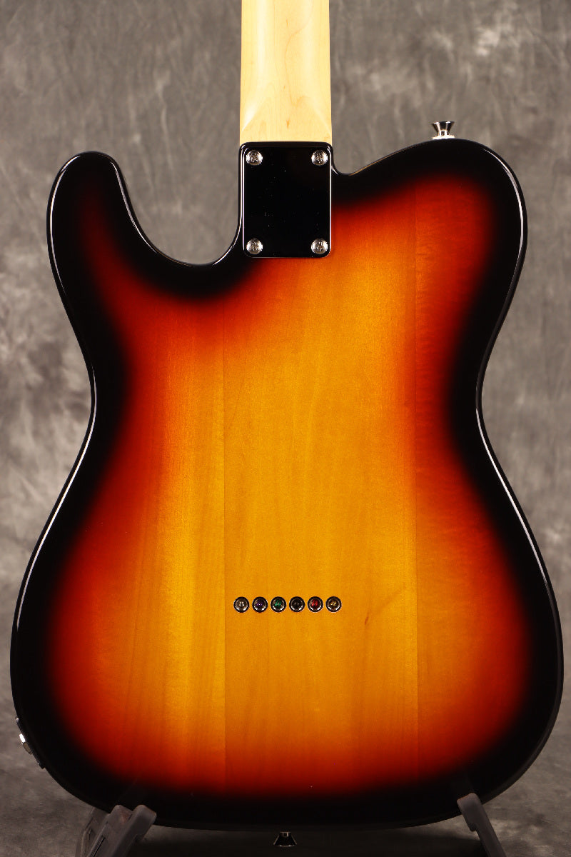 Fujigen(FGN) / BCTE100RBD 3TS [Made in Japan] [Limited Outlet]Fujigen [80]