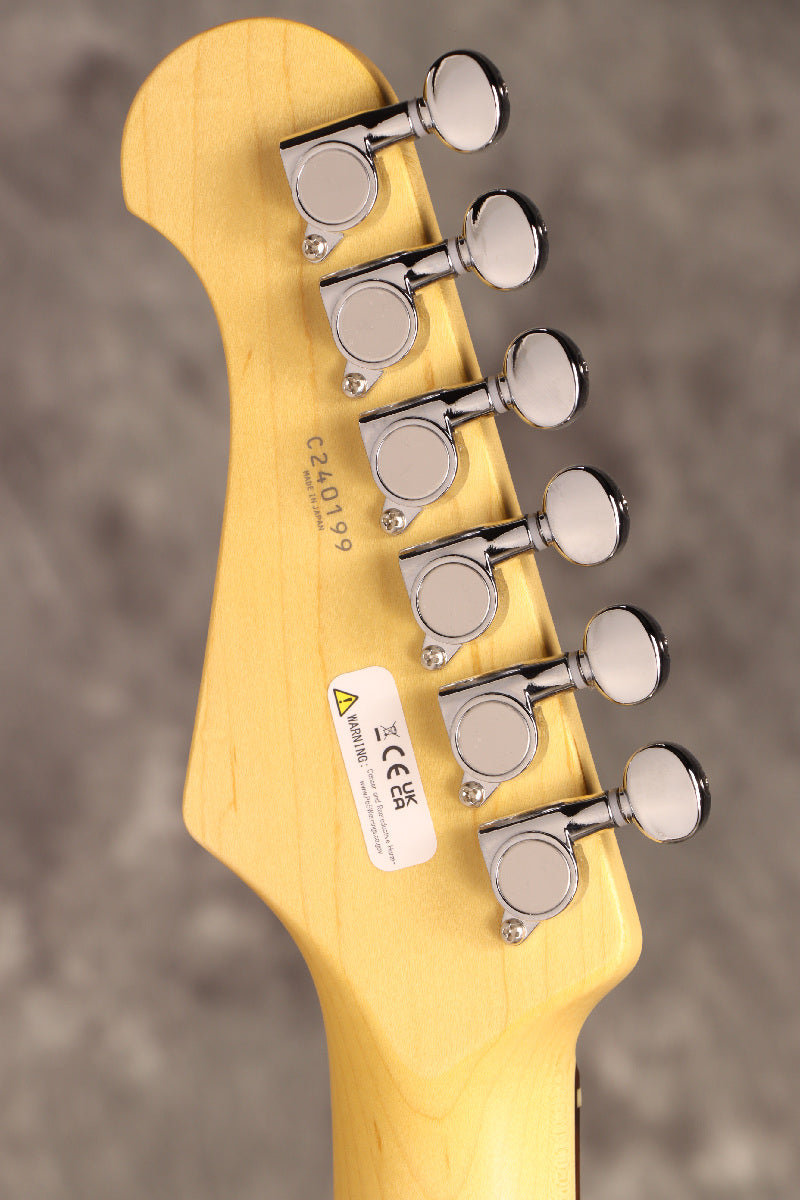 Fujigen(FGN) / BCTE100RBD 3TS [Made in Japan] [Limited Outlet]Fujigen [80]