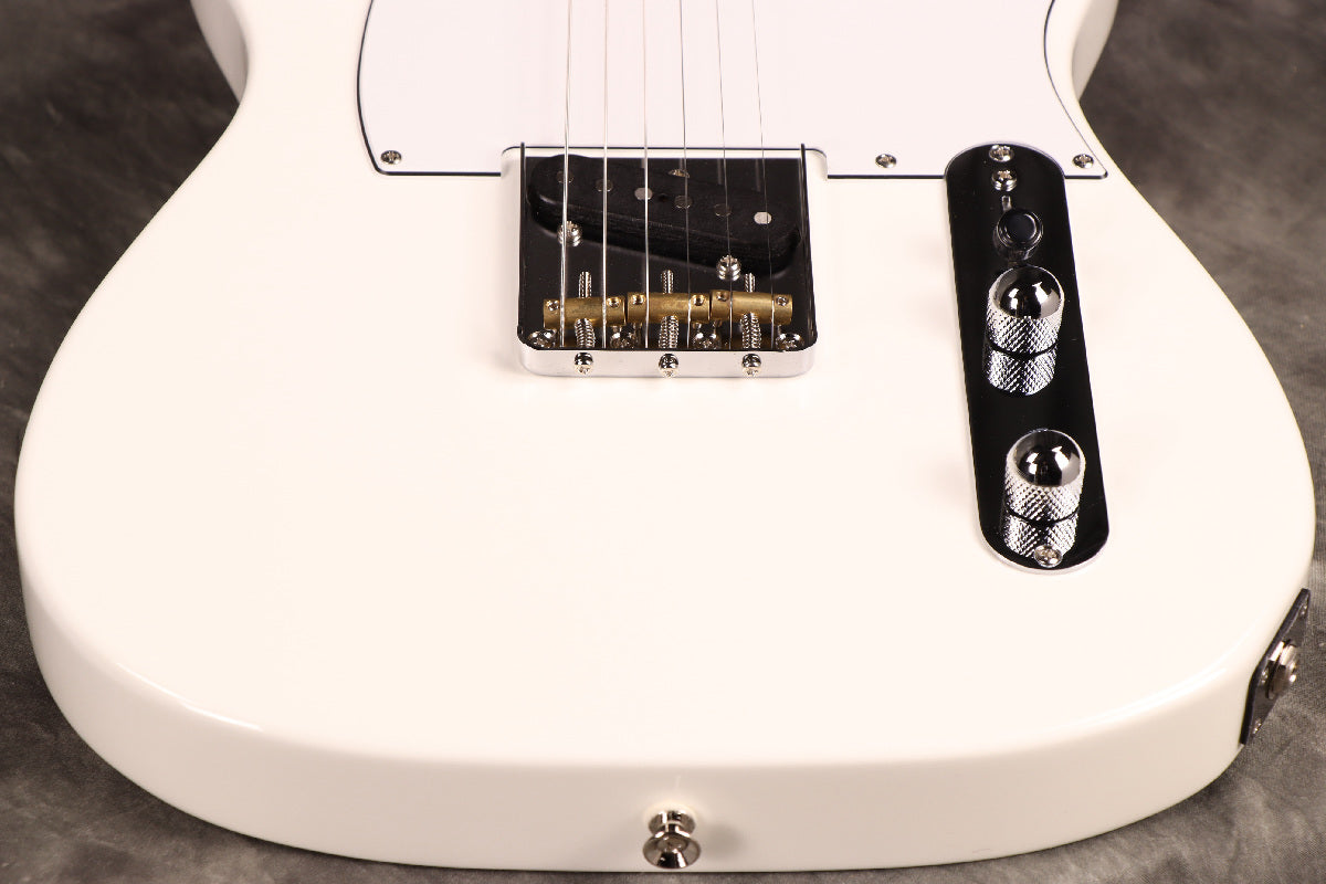 Fujigen(FGN) / BCTE100RBD SWH [Made in Japan] [Limited Outlet]Fujigen [80]