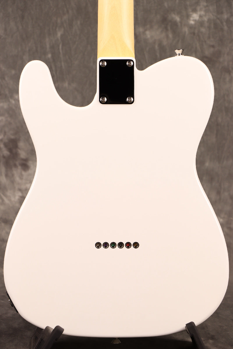 Fujigen(FGN) / BCTE100RBD SWH [Made in Japan] [Limited Outlet]Fujigen [80]