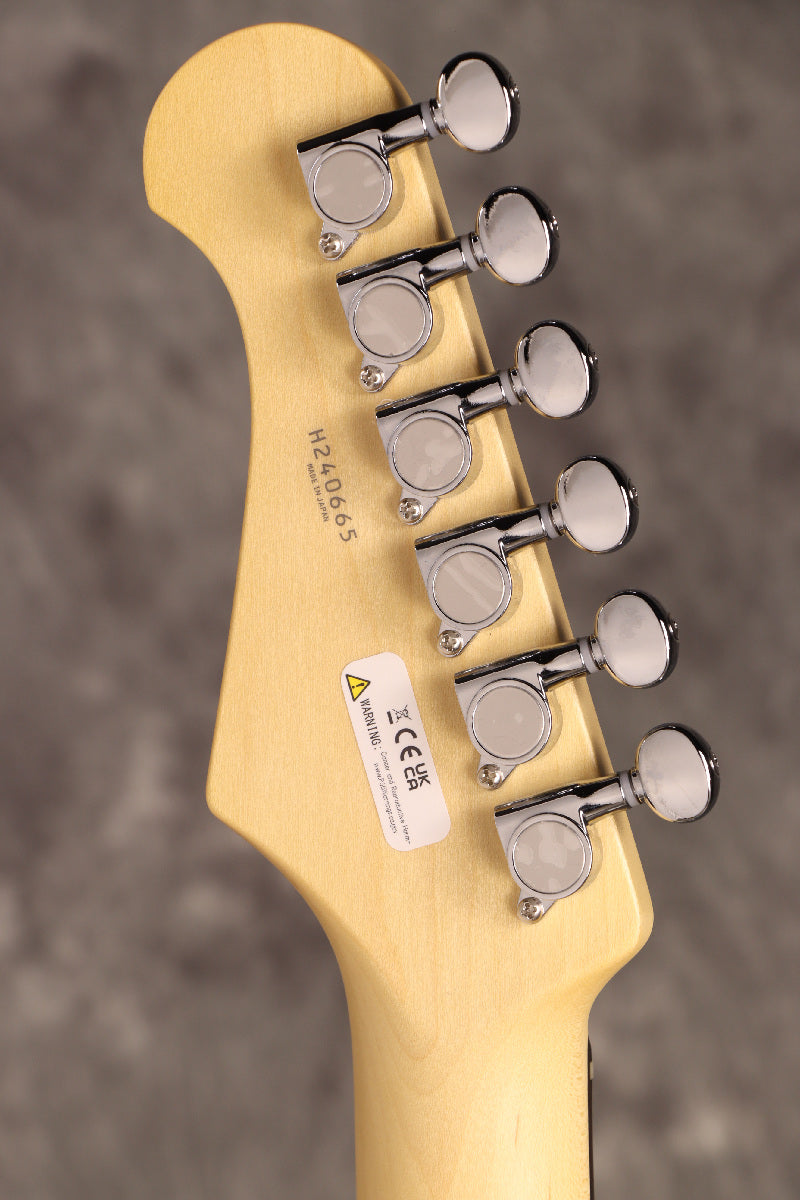Fujigen(FGN) / BCTE100RBD SWH [Made in Japan] [Limited Outlet]Fujigen [80]
