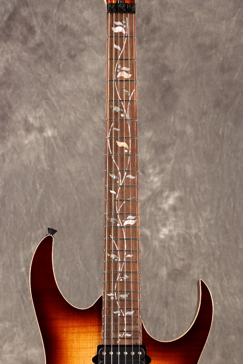 [SN F2410940] Ibanez / RG8870-BSR (Brownish Sphalerite) Ibanez Electric Guitar [S/N F2410940]. [80]