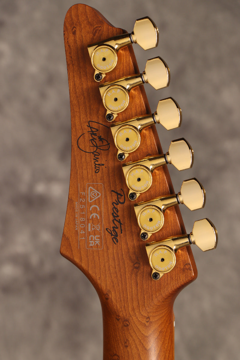 [SN F2518041] Ibanez / Lari Basilio Signature LB1-BK [Lari Basilio][S/N F2518041] Ibanez [80]