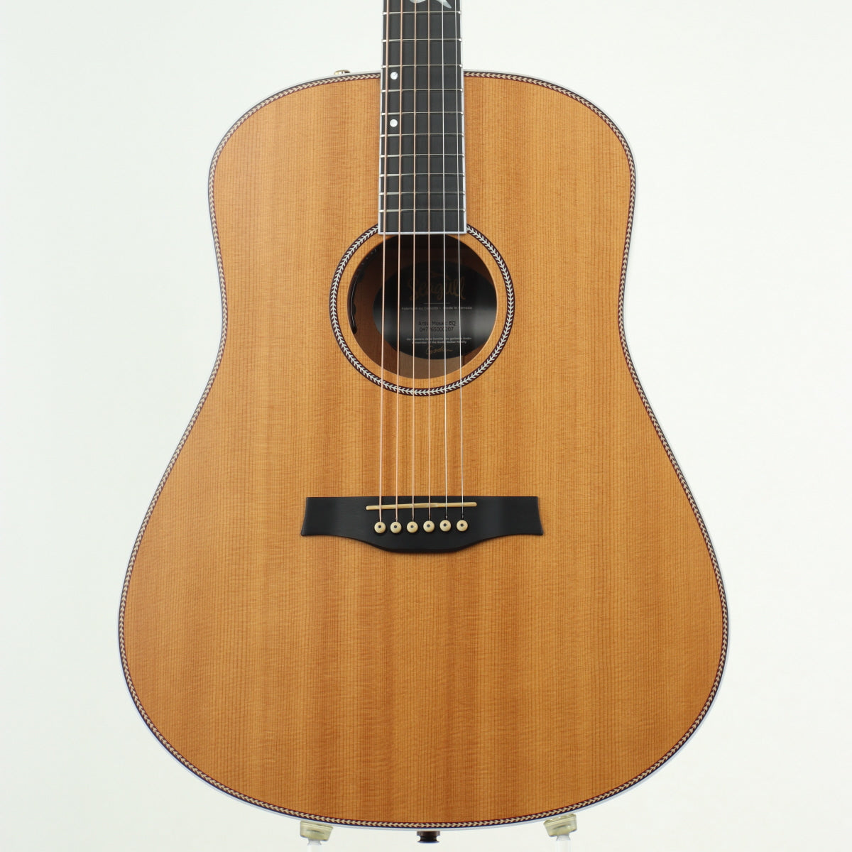 Acoustic guitar [Acoustic guitar/Electric acoustic guitar