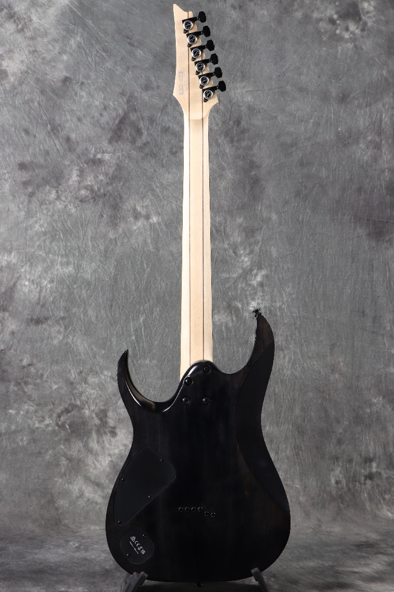 [SN I250407780] Ibanez / RGA21P1PB-DRL (Deep Twilight Burst Low Gloss) Ibanez [S/N I250407780]. [80]