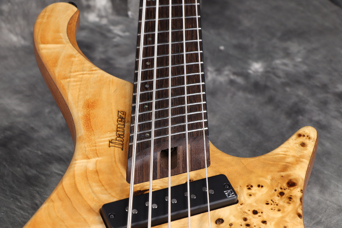 [SN I250609620] Ibanez / EHB1505SMS-FNL (Florid Natural Low Gloss) [Limited Edition] Ibanez 5-string bass [S/N I250609620]. [80]