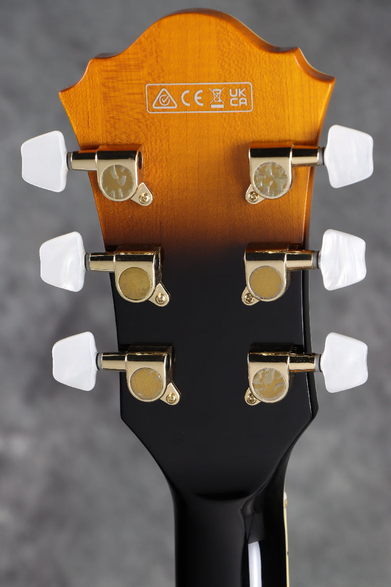 [SN PW25030381] Ibanez / GB10SE-BS George Benson Signature Model Brown Sunburst Ibanez [S/N PW25030381]. [80]