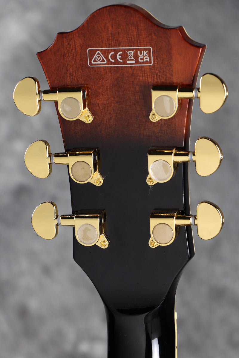 [SN PW25060189] Ibanez / Artcore Expressionist AS93QMSP DBS [SPOT MODEL] [S/N PW25060189]. [80]