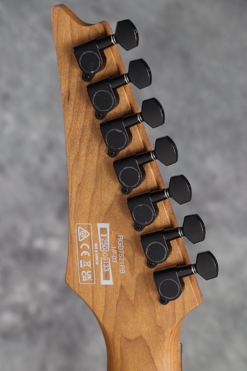 [SN I250609133] Ibanez/ RGD7521PB-DSF (Deep Seafloor Fade Flat) Ibanez [S/N I250609133]. [80]