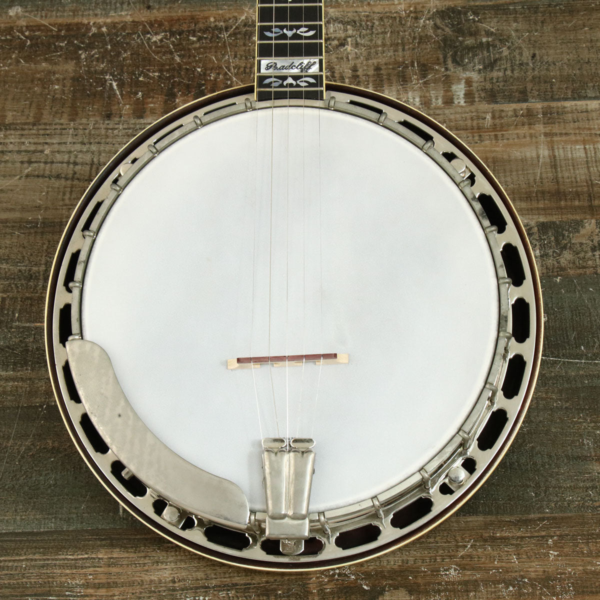 Banjo [acoustic and electric guitars › banjo]