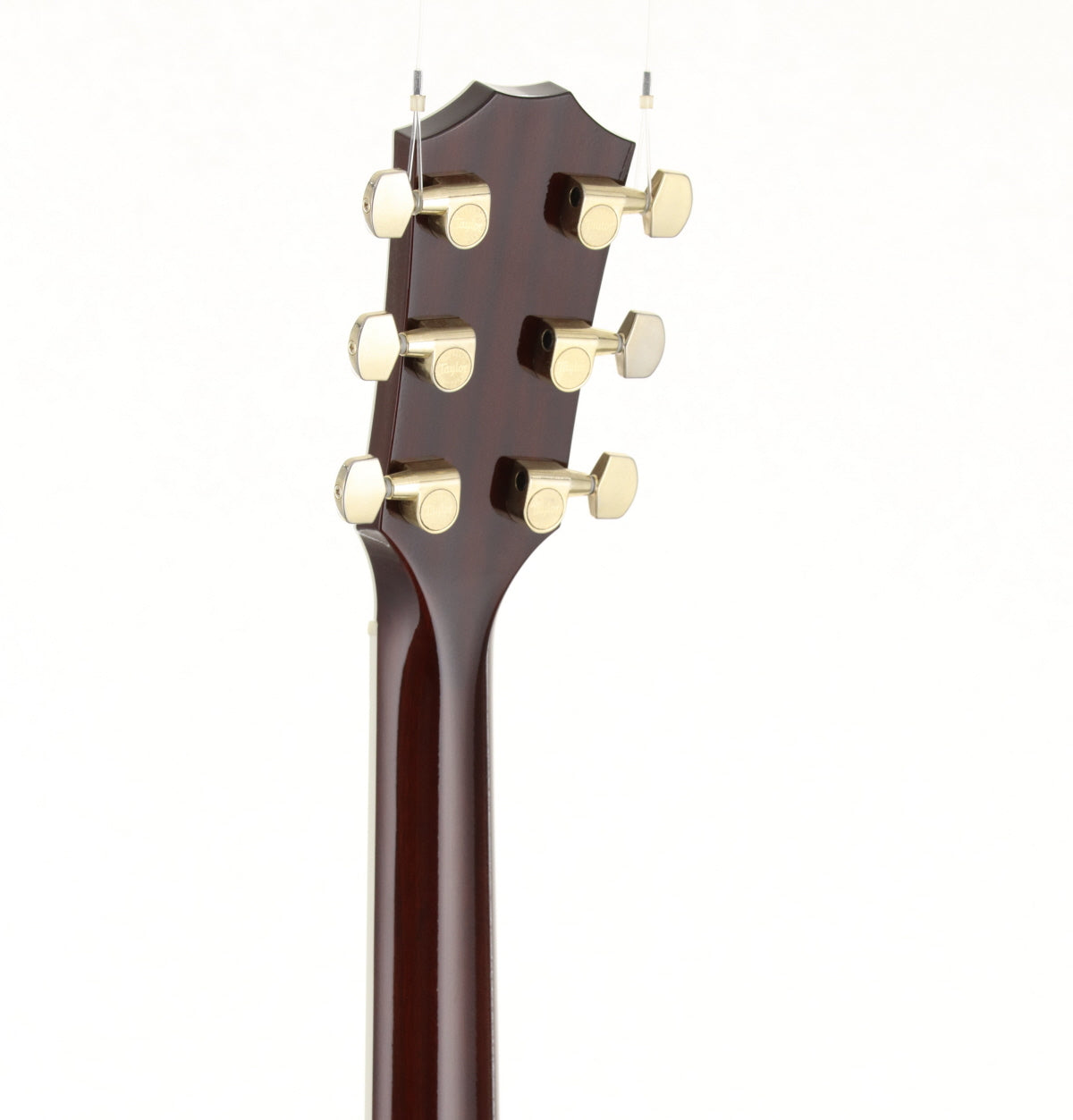 [SN 1101129142] USED Taylor / T5-C3 Cocobolo Top 2013 [08]