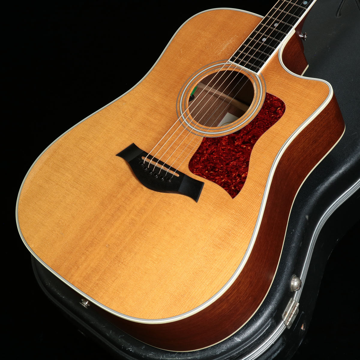 Electric Acoustic Guitar [Acoustic Guitar/Electric Acoustic Guitar › Electric Acoustic Guitar]