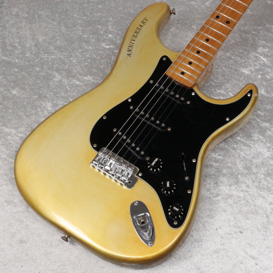 [SN 253100] USED Fender / 25th Anniversary Stratocaster [06]