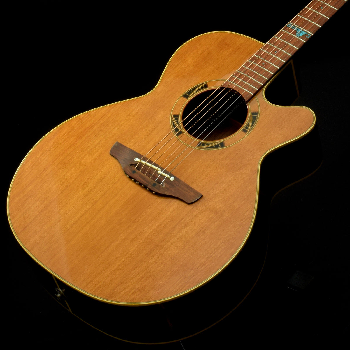 Takamine flamenco online guitar