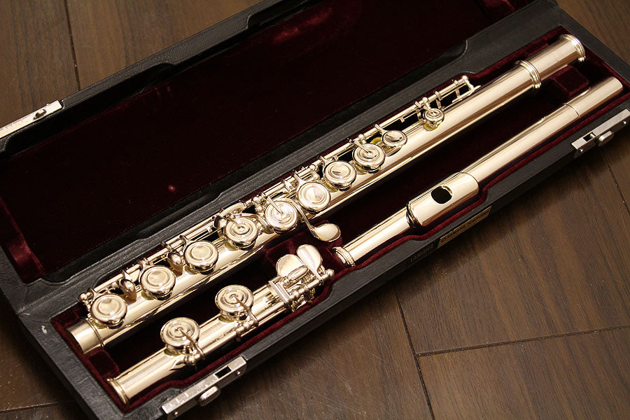 All Silver [Wind Instruments › Flute › All Silver]