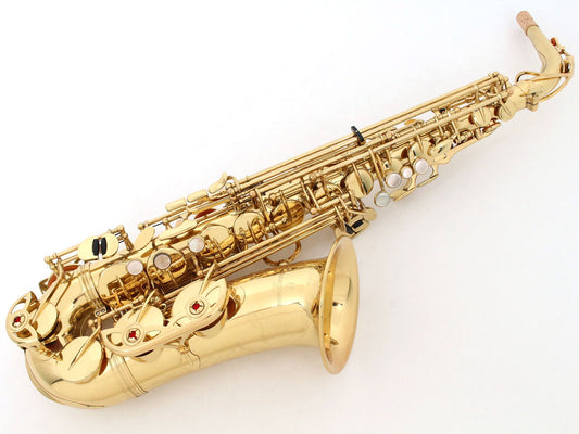 [SN 213499] USED YANAGISAWA / Alto saxophone A-901 [20]