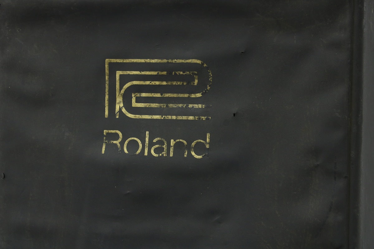 [SN 829439] USED Roland / RE-101 SPACE ECHO [03]