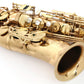 [SN 476541] USED SELMER / Alto saxophone SA80II W/E Series 2, no engraving, all tampos replaced [09]